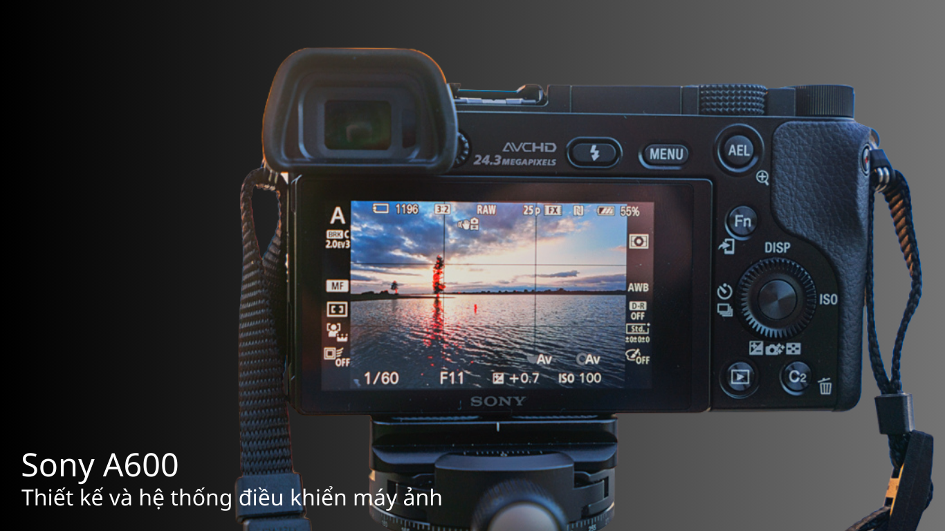 sony a6000 vs sony nex 7