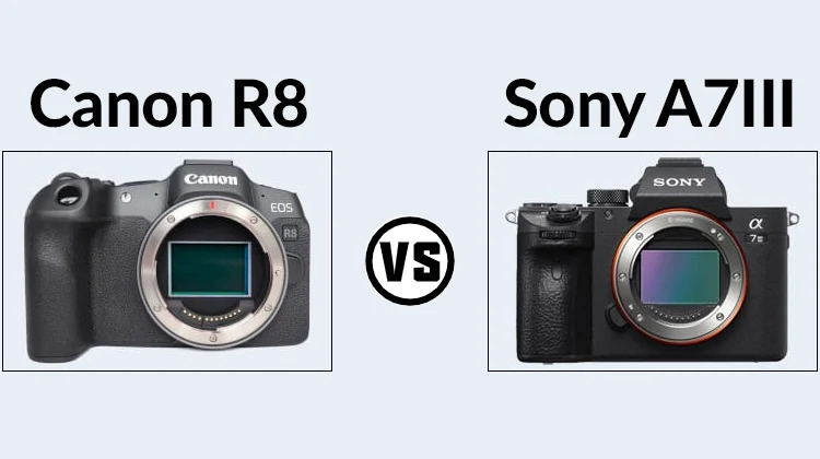 sony a7 iii vs canon r8