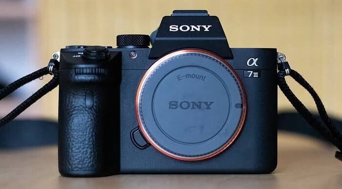 sony a7 iii vs canon r8