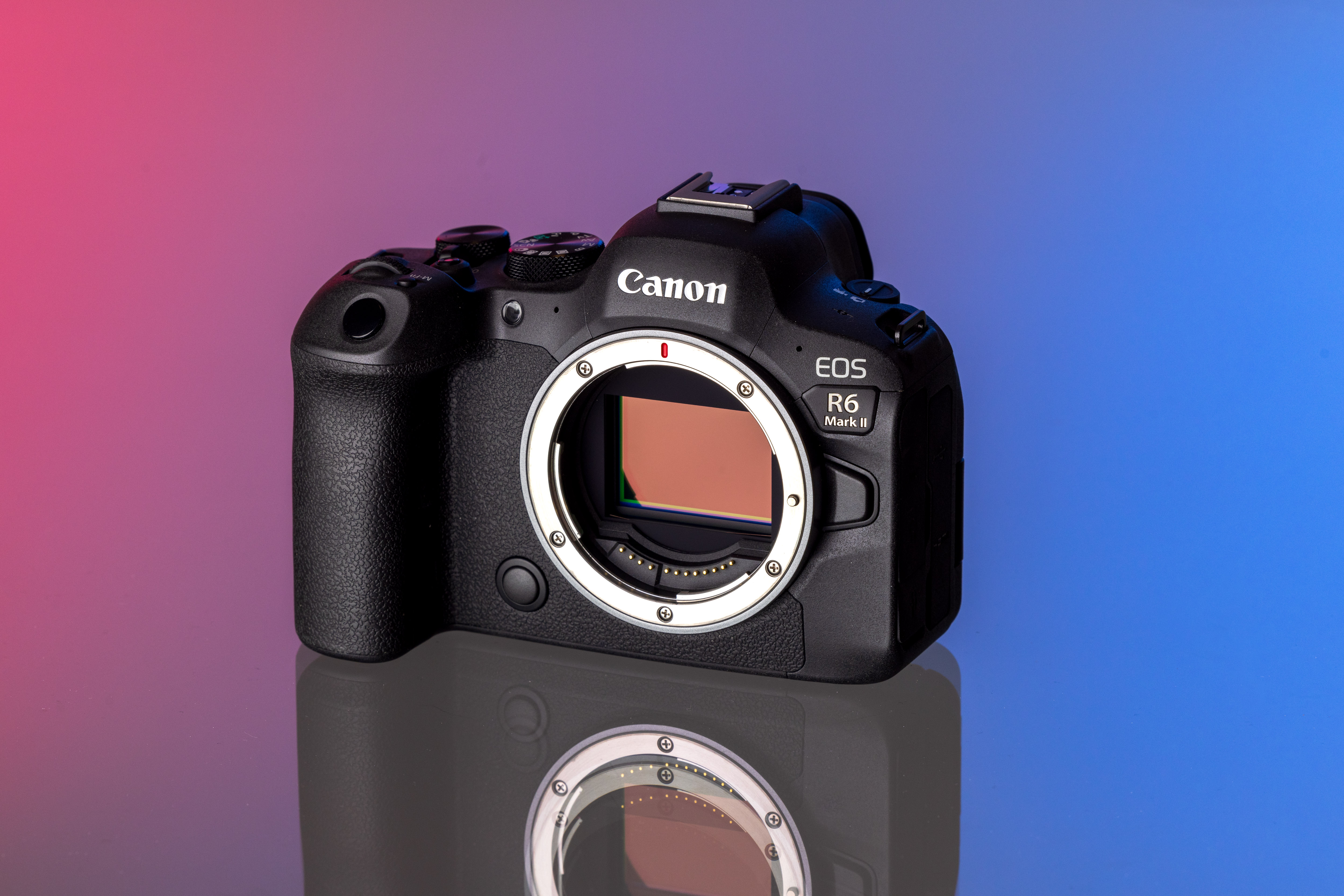 sony alpha 7 iv vs canon eos r6 mark ii