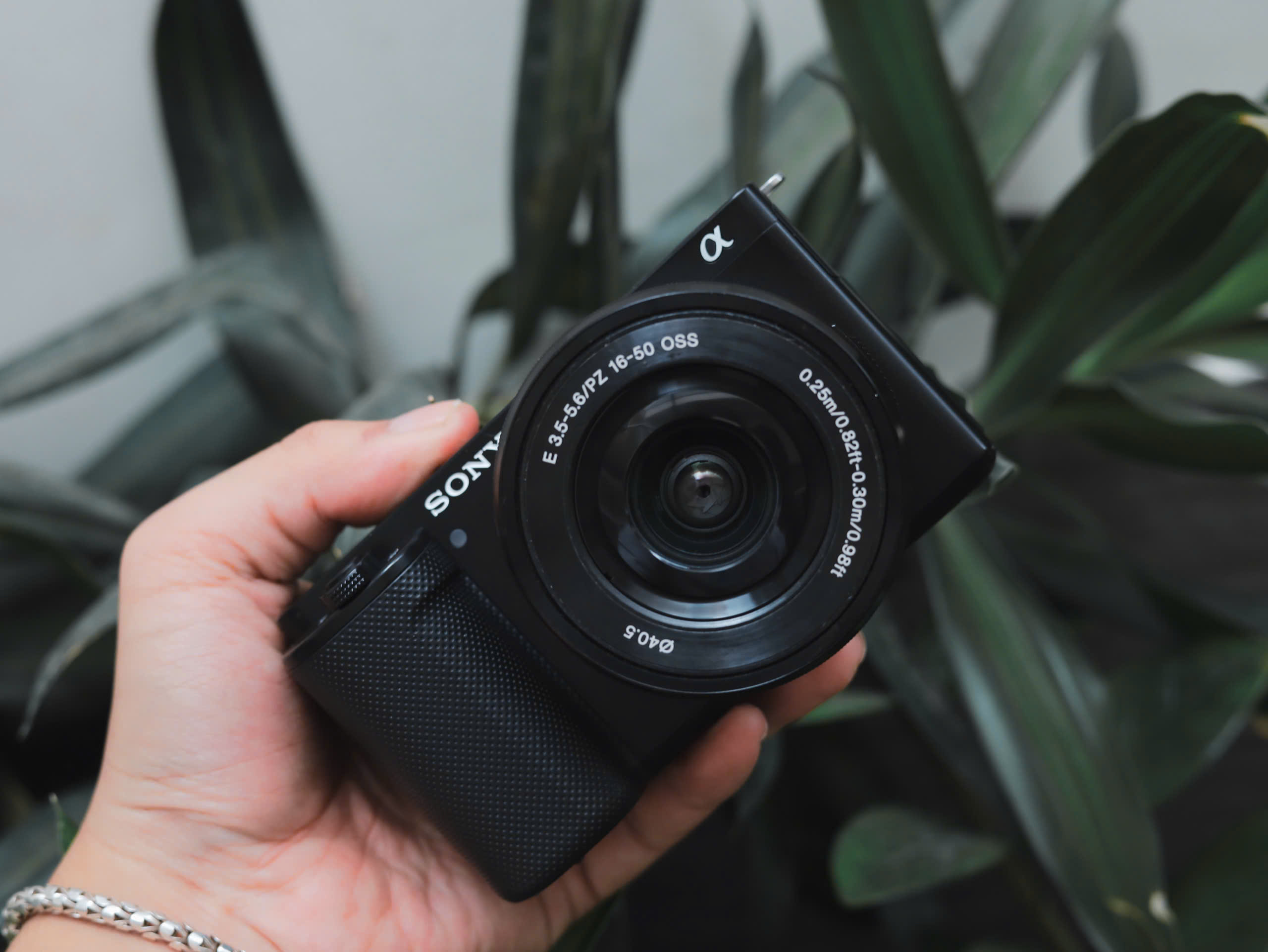 sony zve10 có flash không
