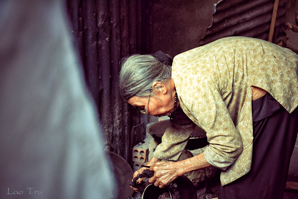 Ảnh chụp từ Nikon D3100