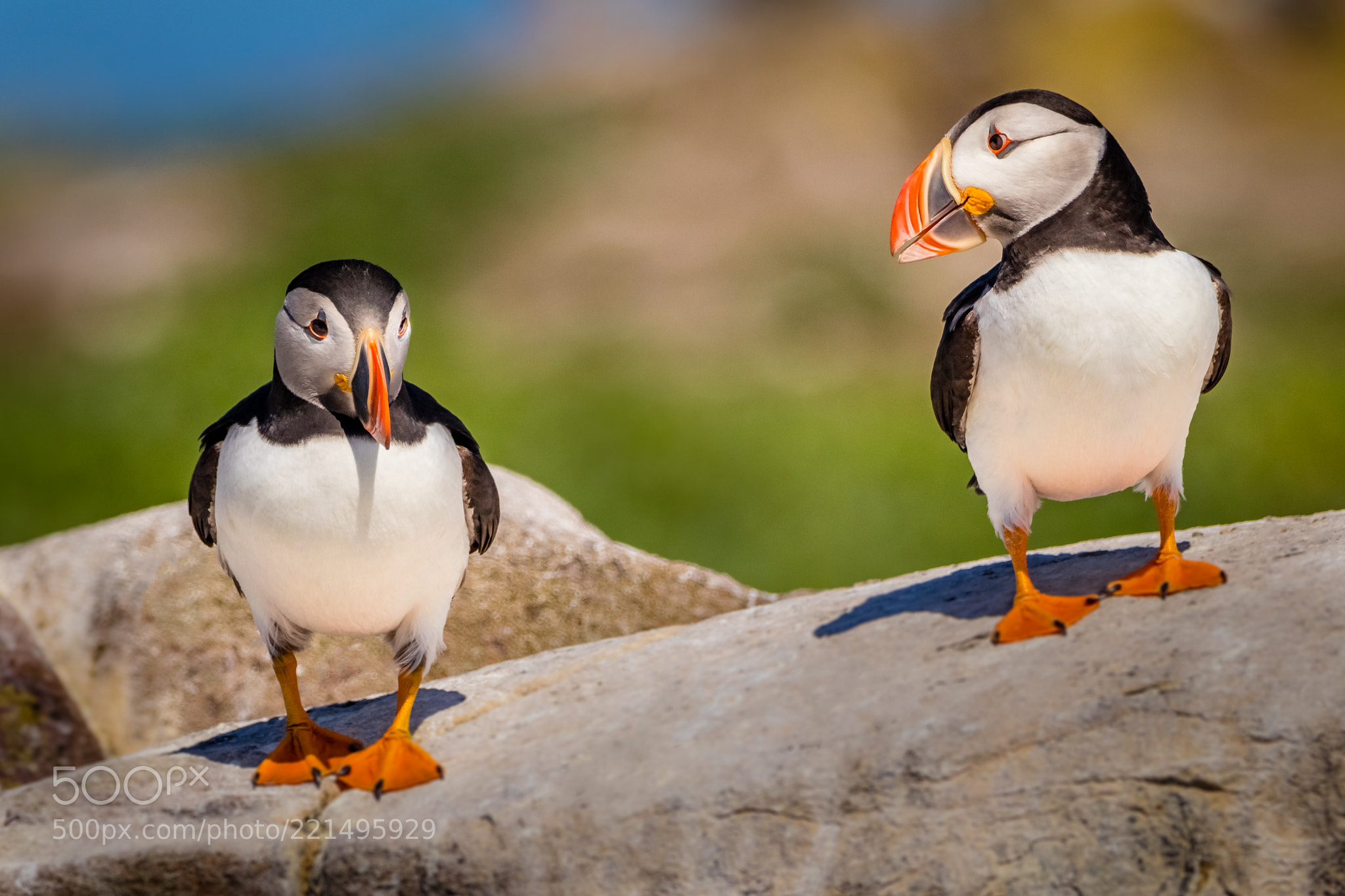 Ảnh chụp trên Canon 80D