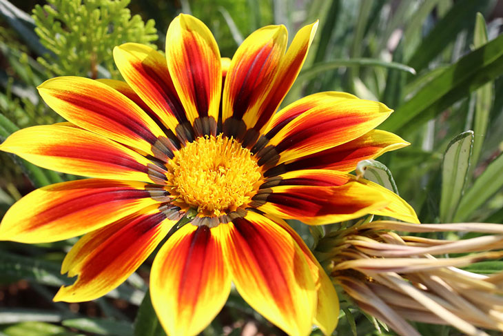 Ảnh chụp trên Canon M200