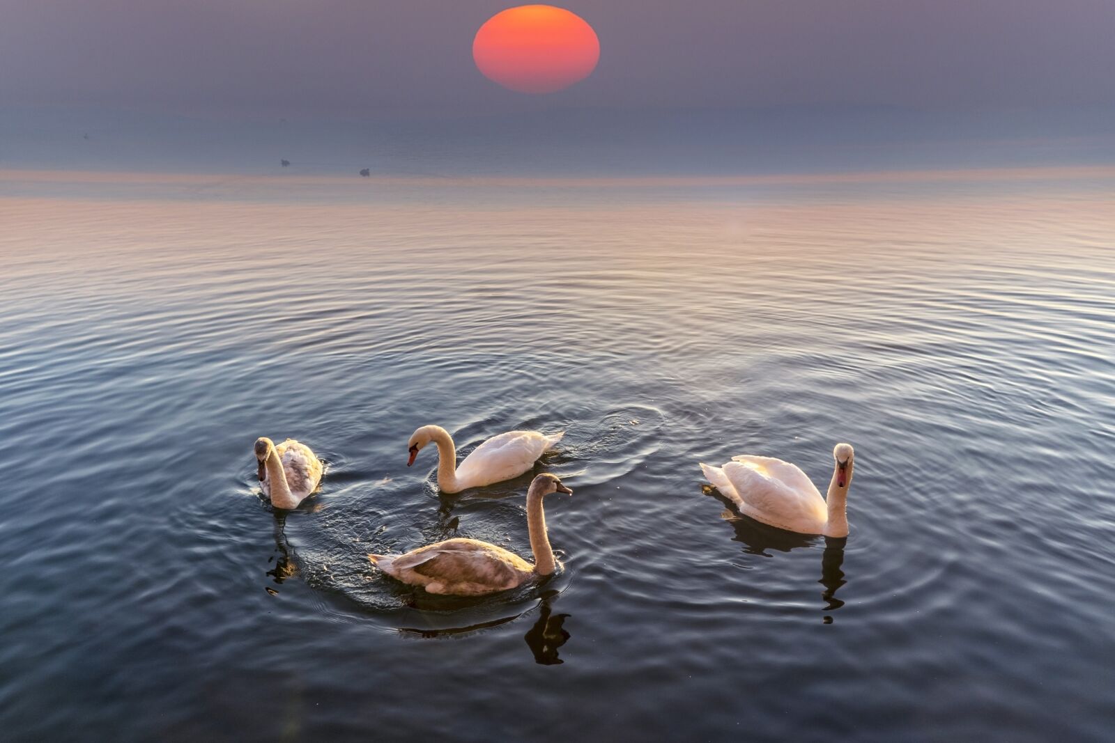 Ảnh chụp trên Nikon D5300