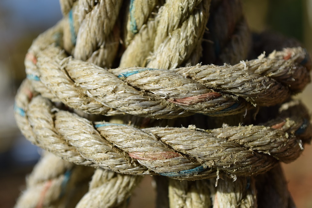 Ảnh chụp trên Nikon D5300