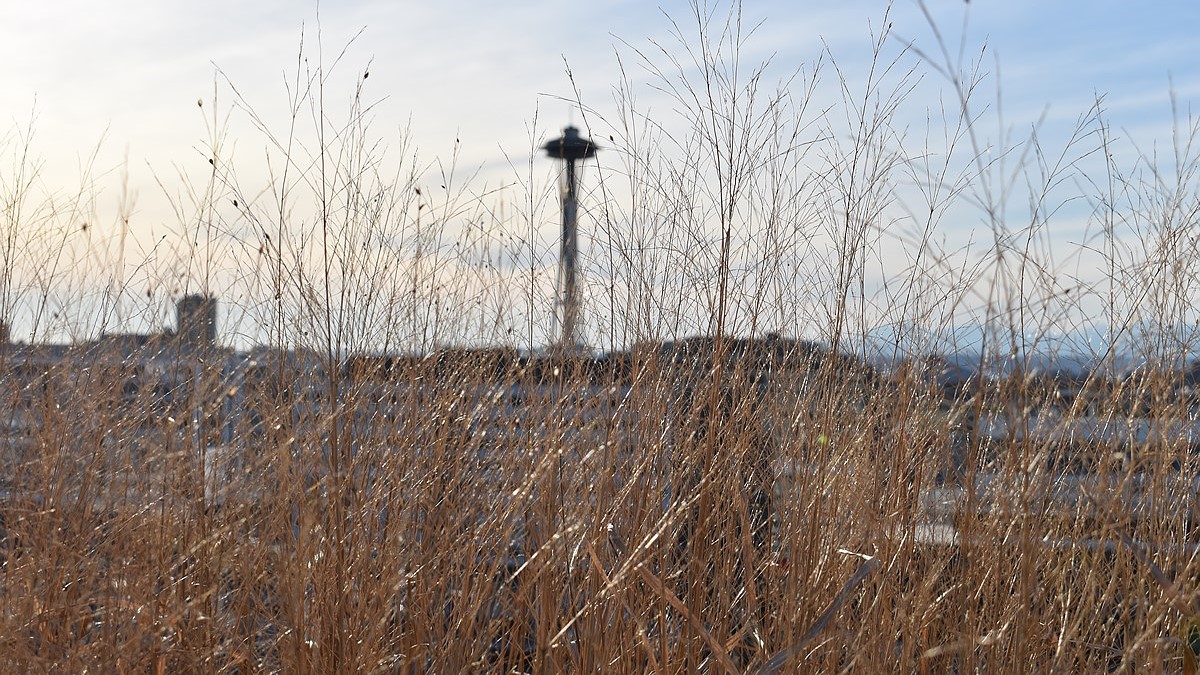 Ảnh chụp trên Nikon D5600