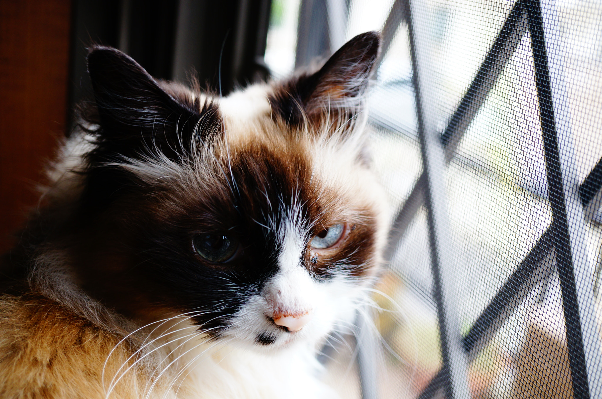 Ảnh chụp trên Sony Nex 5T