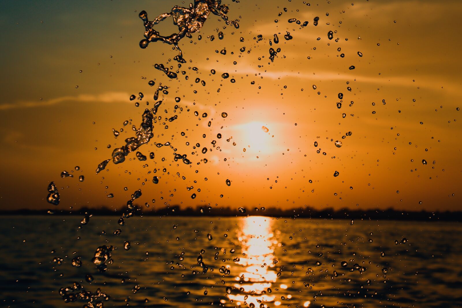 Ảnh chụp trên máy ảnh Canon 250D