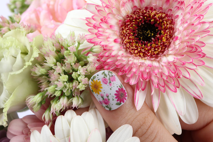 ảnh chụp canon m100