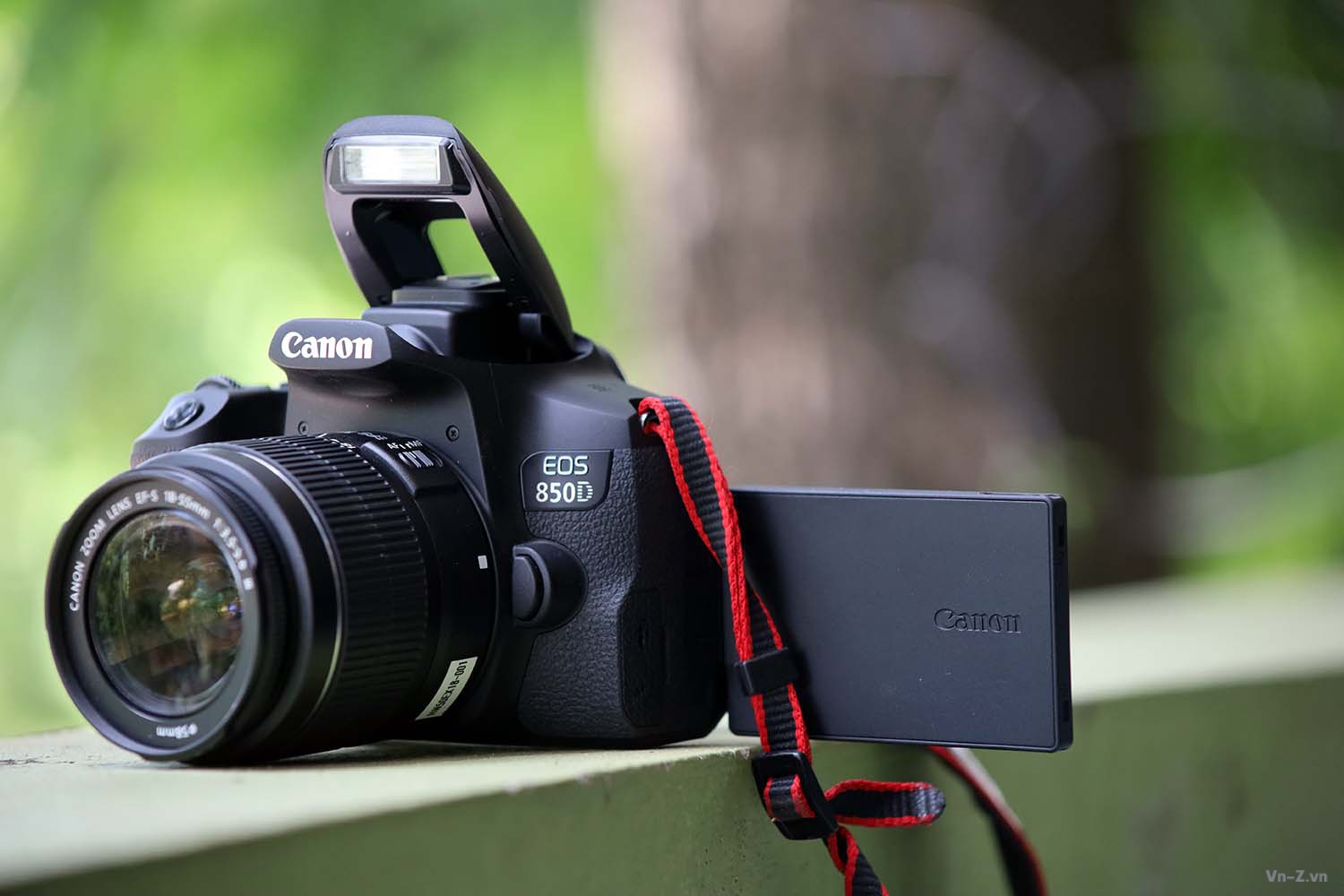 Canon 850D thích hợp với nhiều loại ống kính