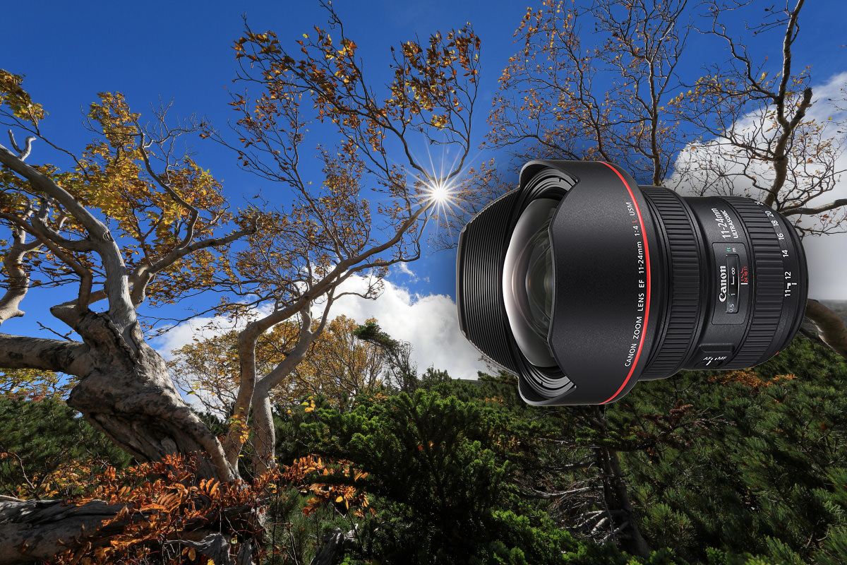 Canon EF 11-24mm f4L USM