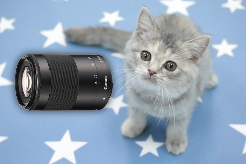 CANON EF-M 55-200MM F4.5-6.3 IS STM
