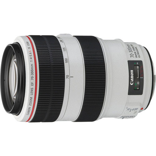 Canon EF 70 300mm F 4 5.6 L IS USM