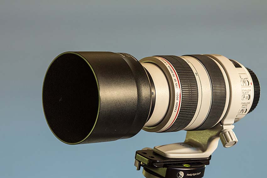 Canon EF 70 300mm F 4 5.6 L IS USM