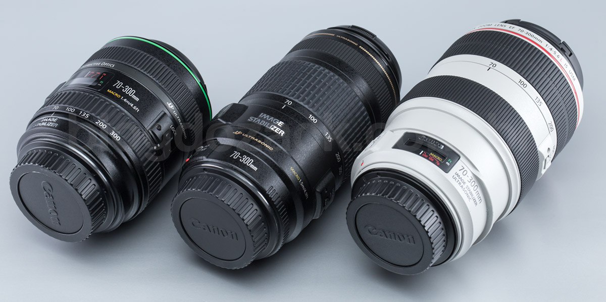 Canon EF 70 300mm F 4 5.6 L IS USM