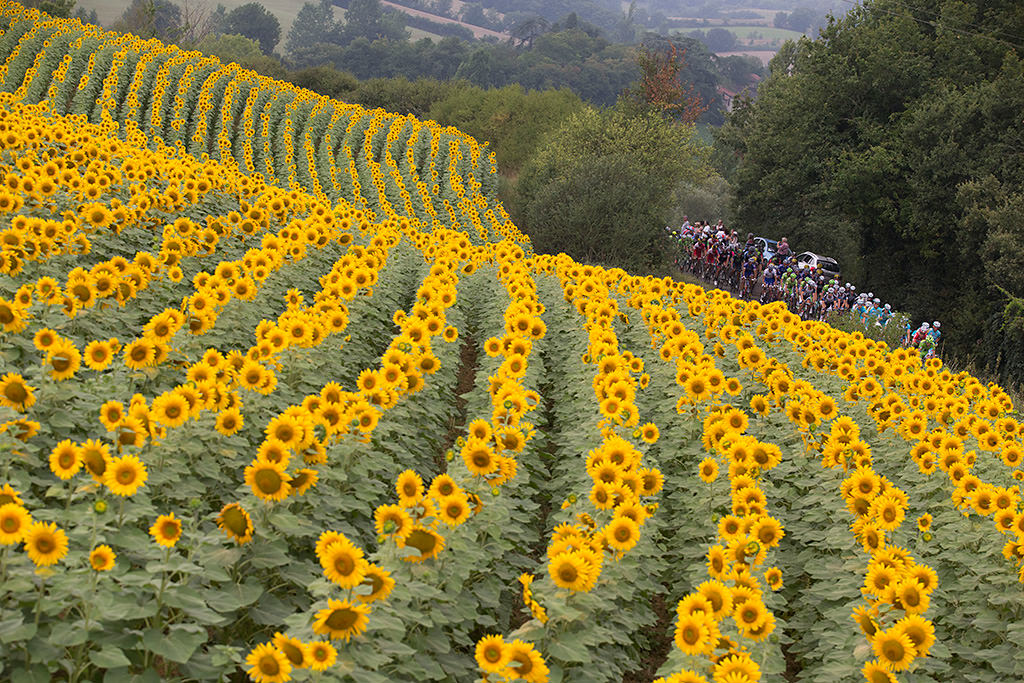 Canon EF 70-200mm f2.8L IS USM