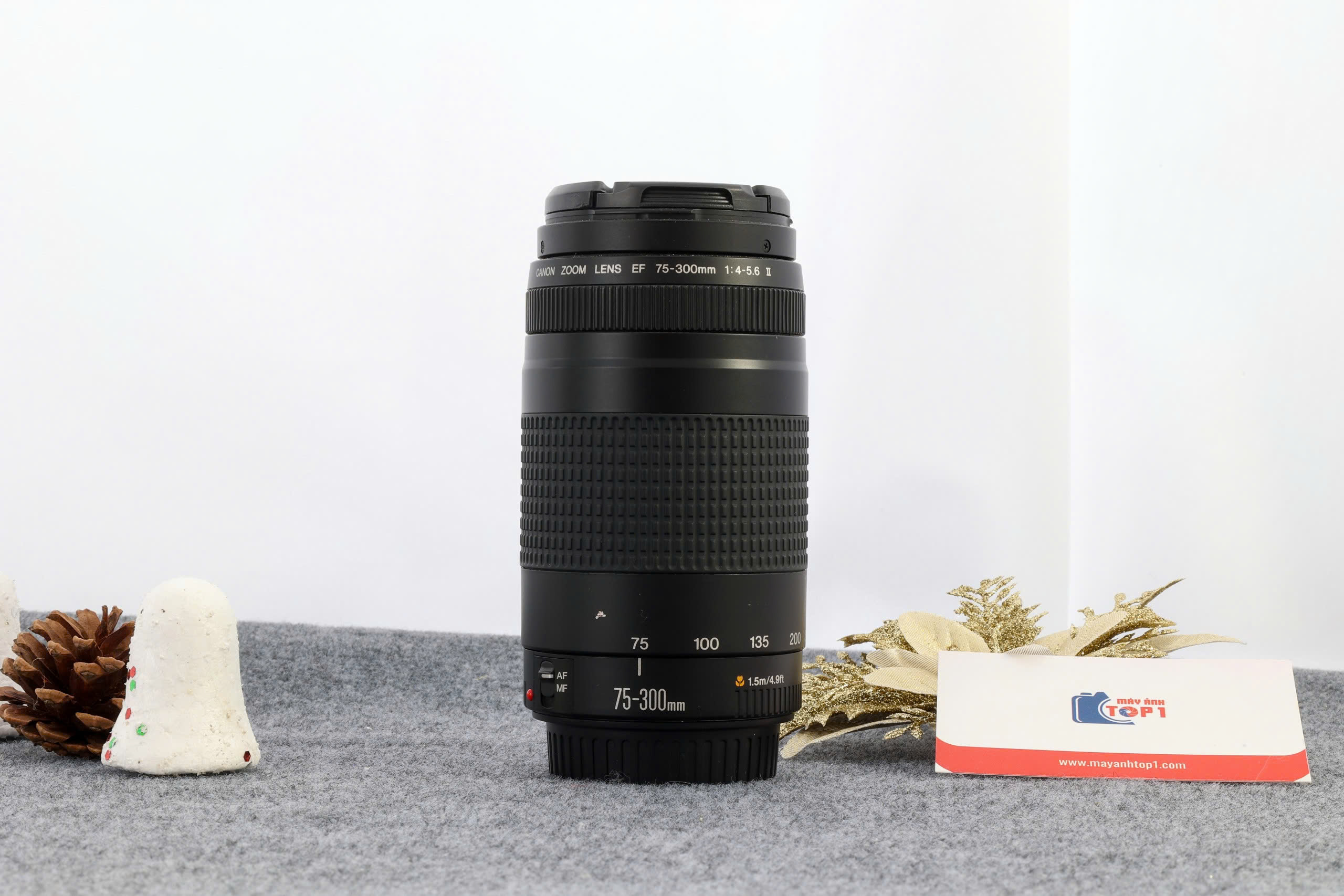 Canon EF 75-300mm f4-5.6 III