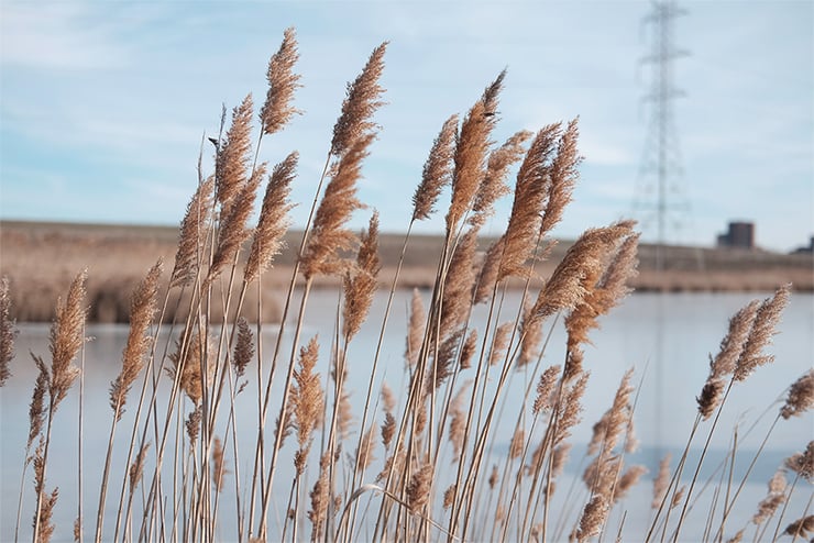 FUJIFILM XF 35MM F2 R WR