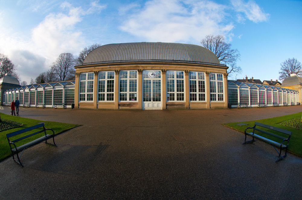 NIKON AF FISHEYE 10.5MM DX F2.8G ED