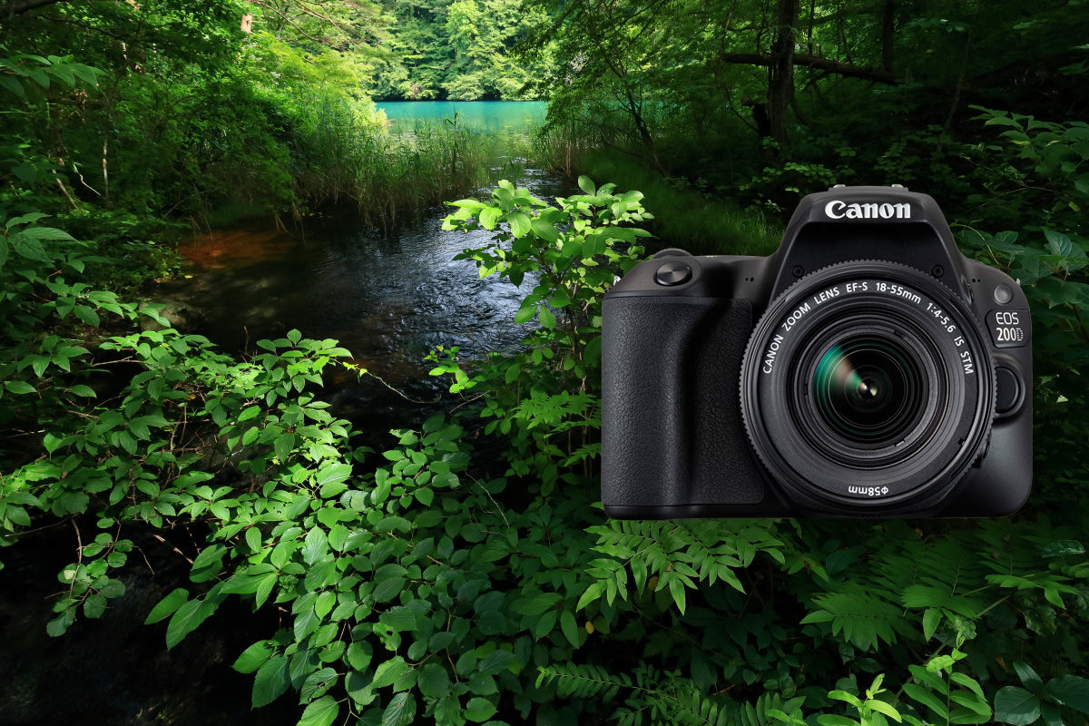 Review Canon 200D