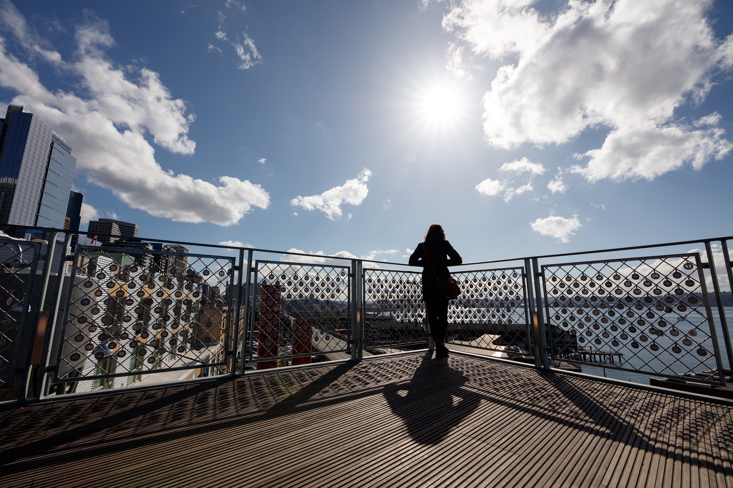 Sigma 14-24mm f2.8 Art