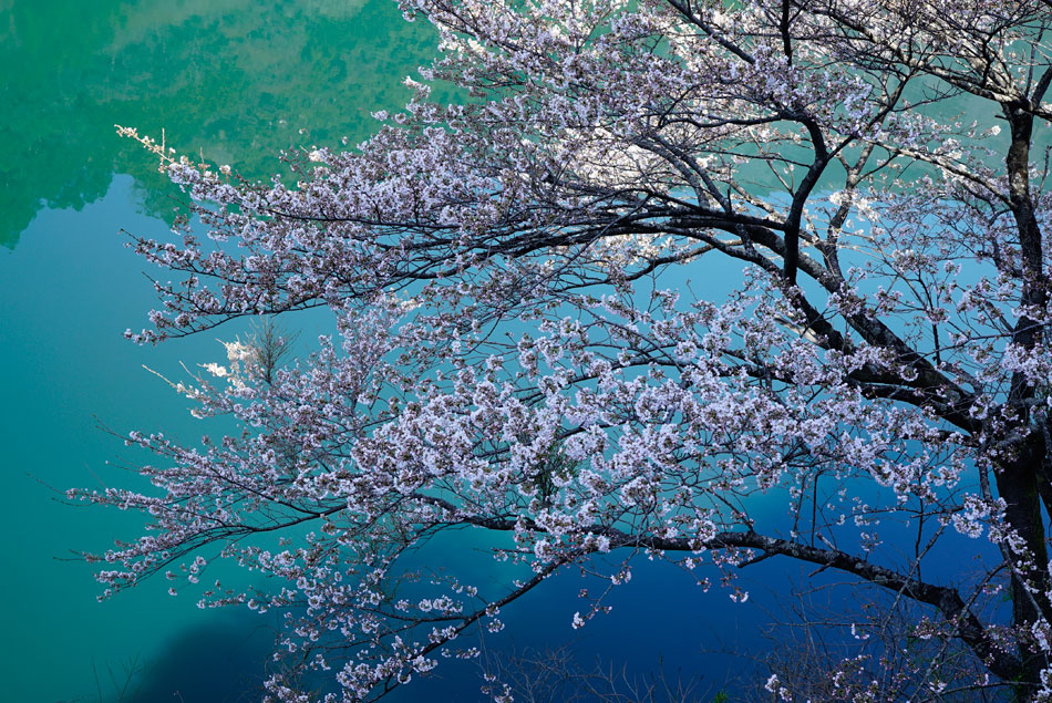 SONY FE 24-70MM F4 ZA OSS