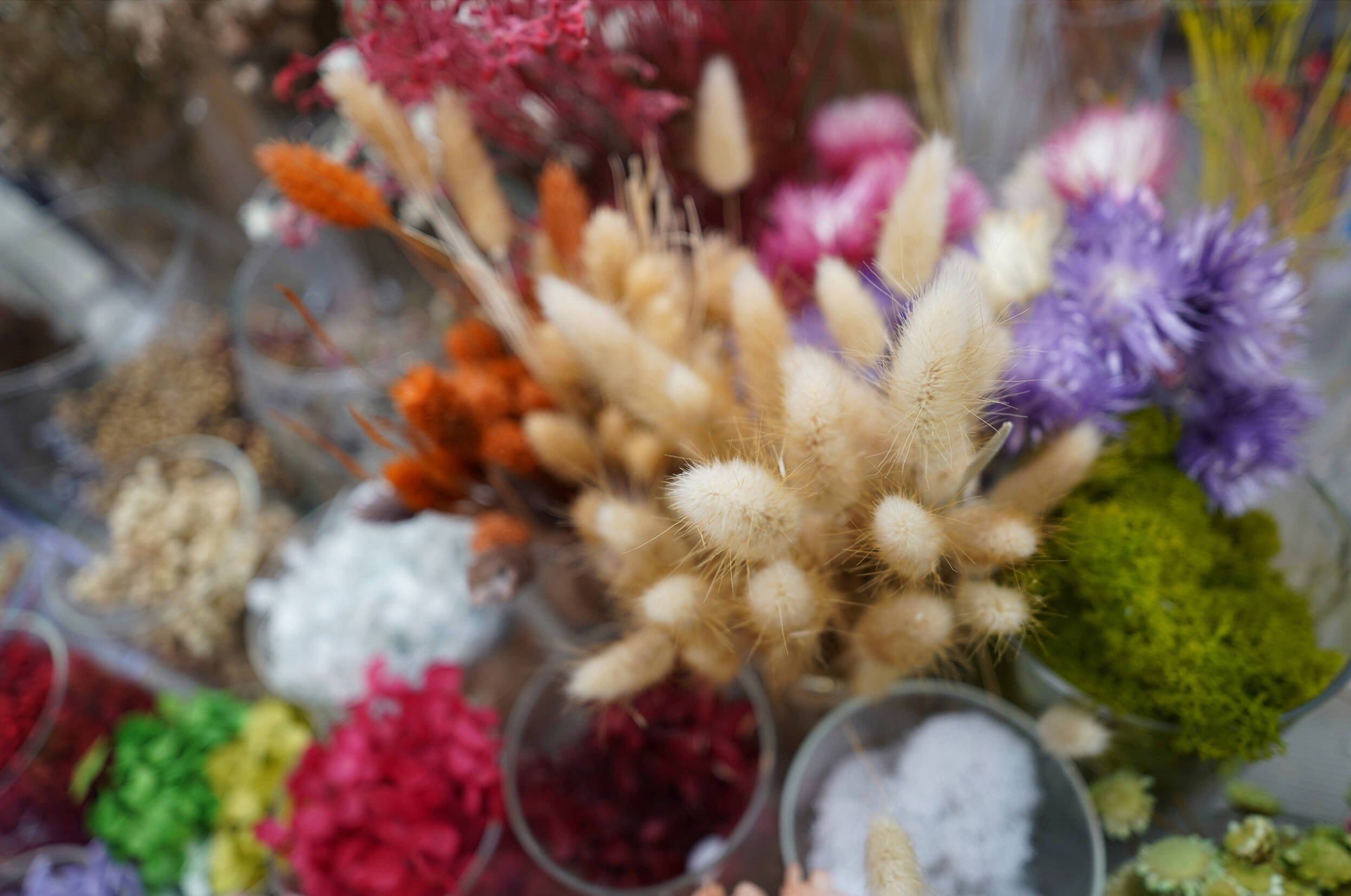 SONY FE 24MM F2.8 G