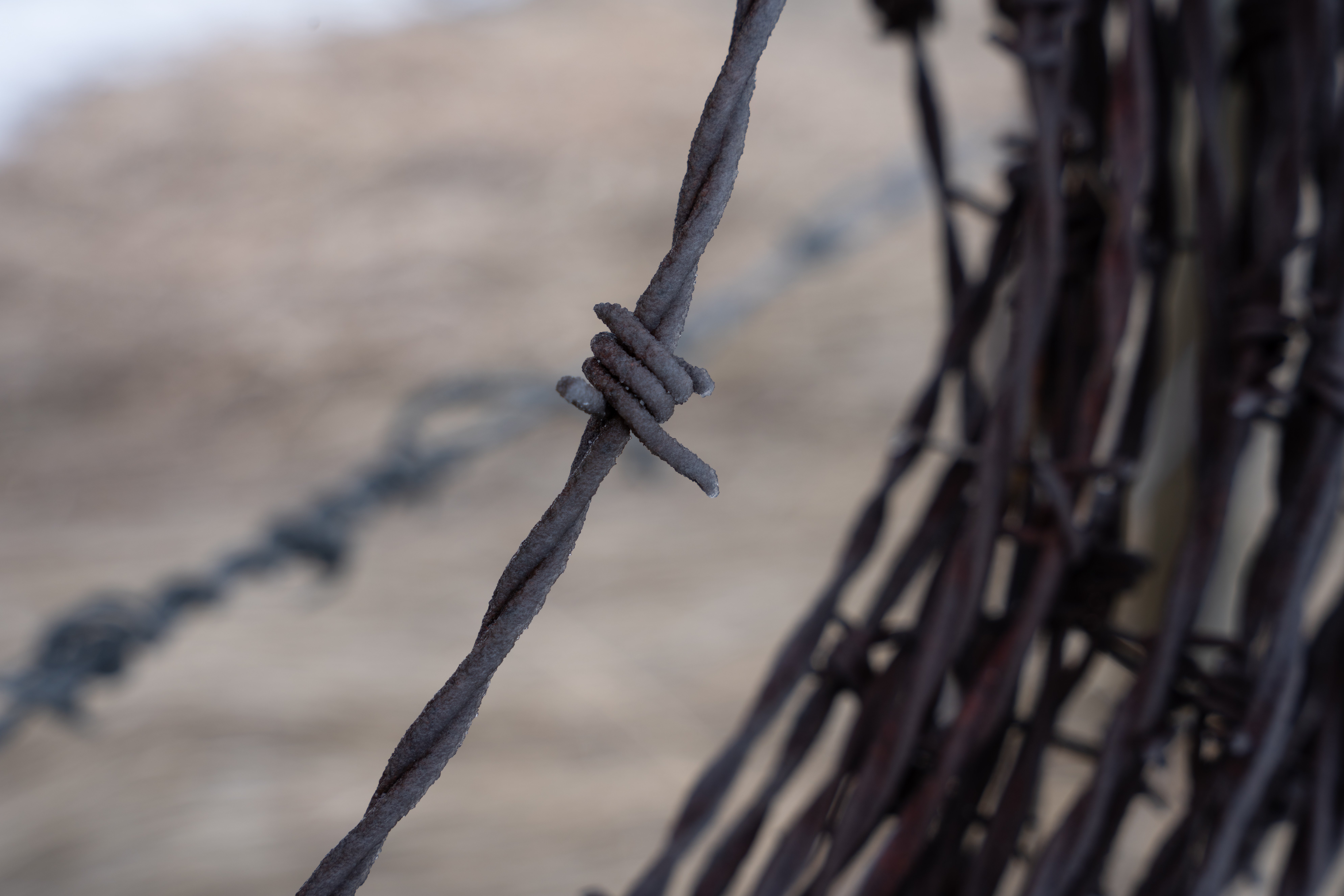 Sigma 24-70 F2.8 art