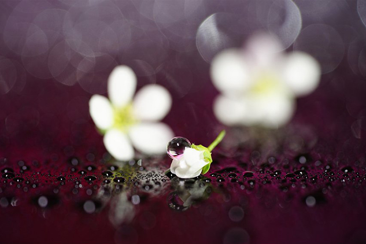 Sigma 24mm f3.5 DG DN for Sony