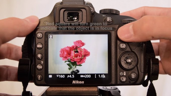 Giao diện mặt sau Nikon D3300, bố trí nút đơn giản – lý tưởng cho người mới học.