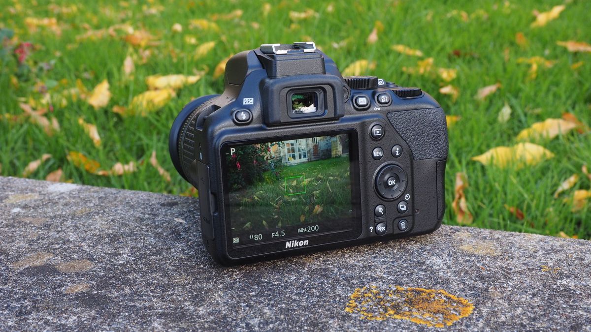 Màn hình LCD của Nikon D3500.
