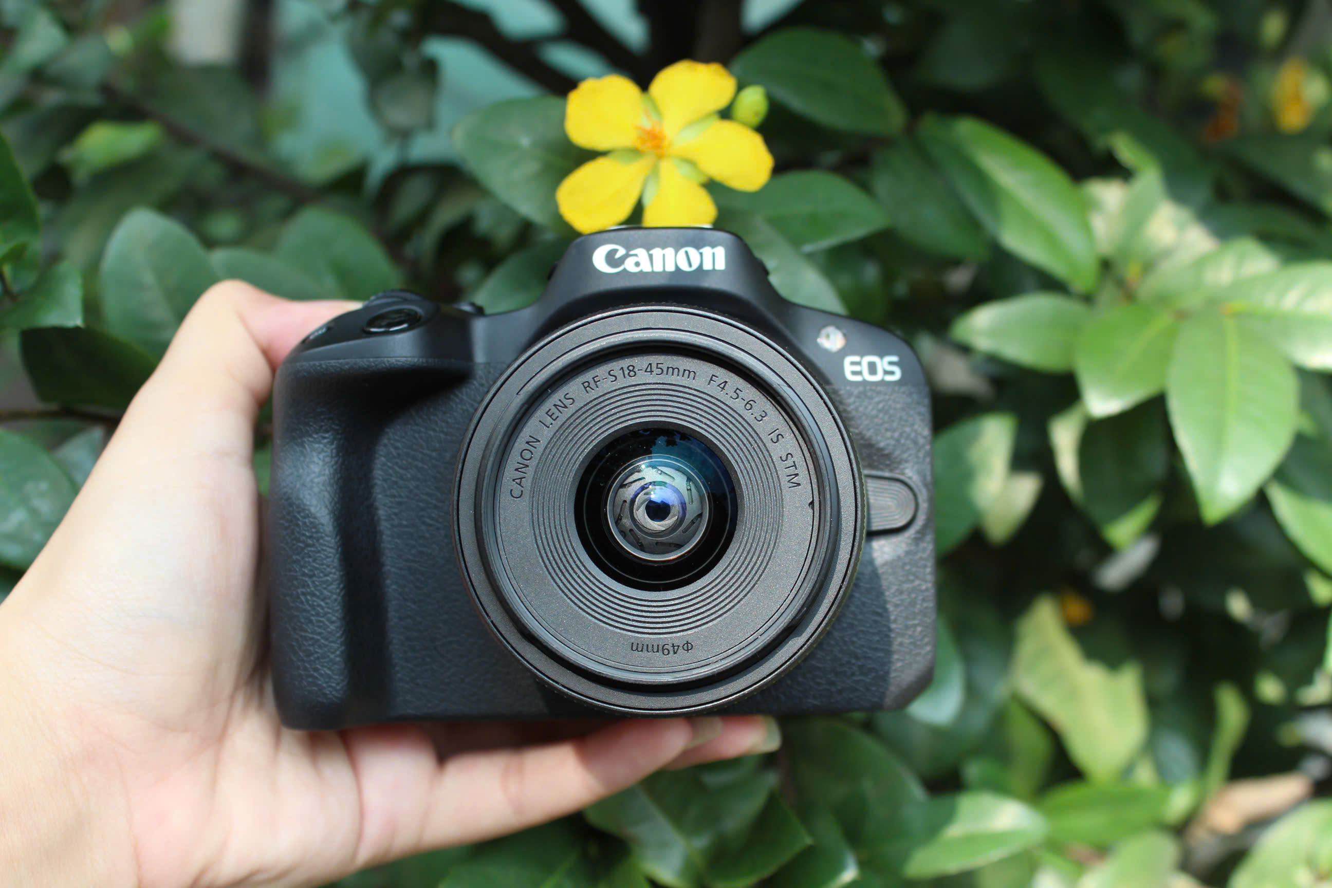 camera canon r50