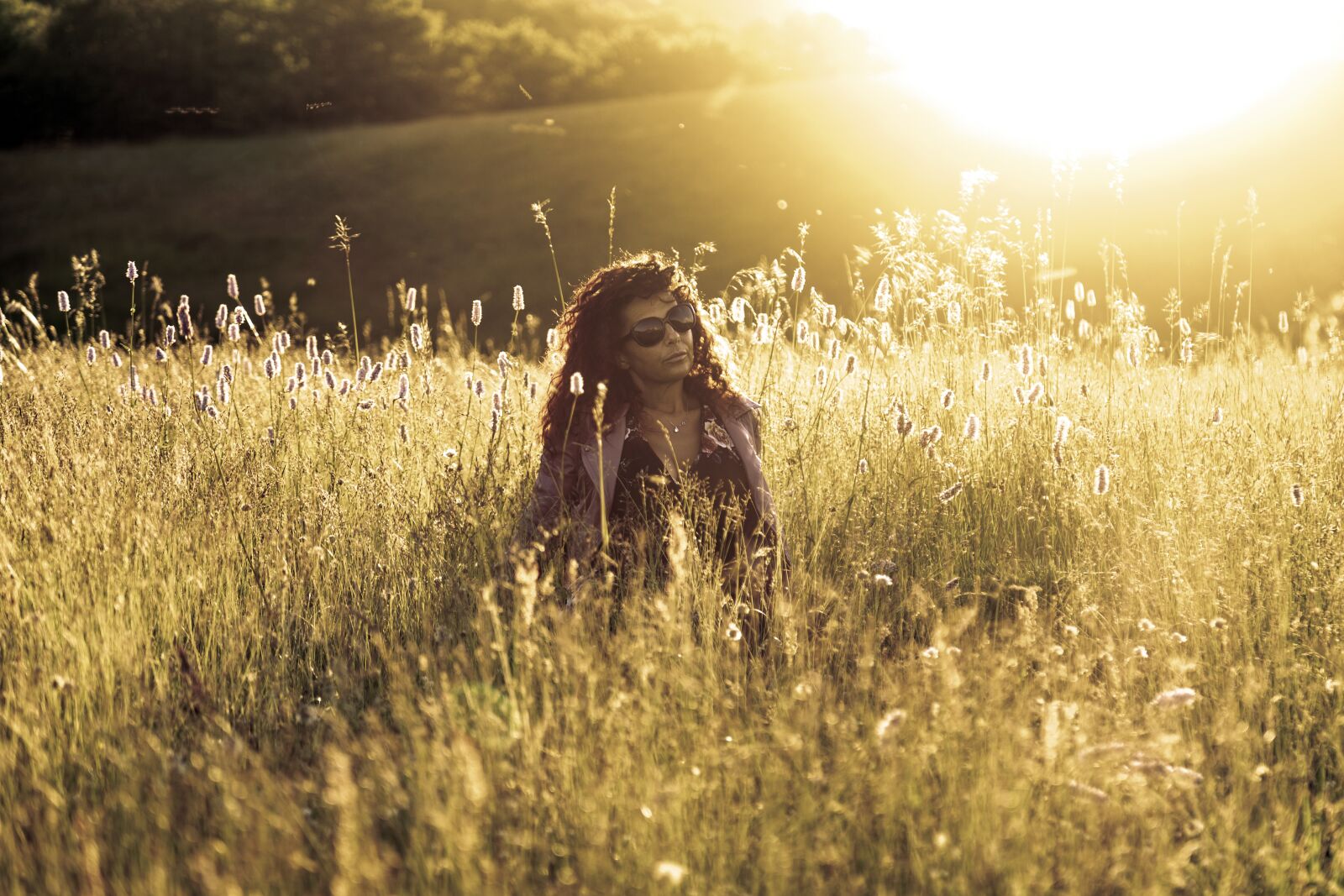 canon 5d3