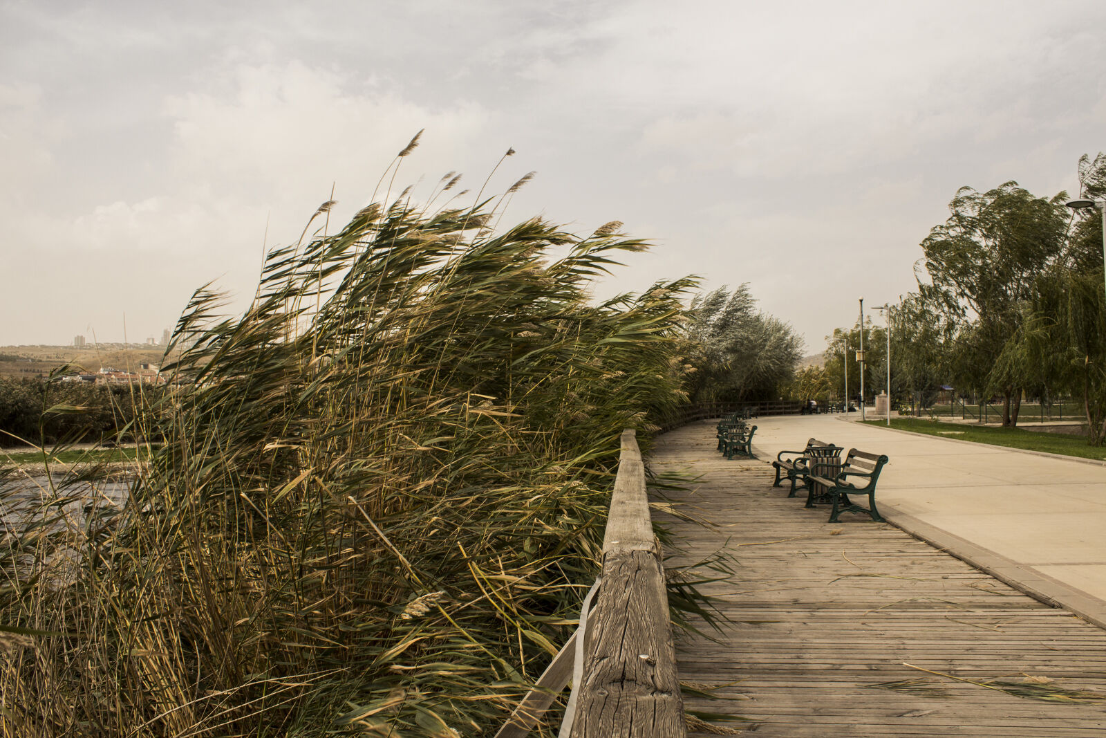 canon 650d