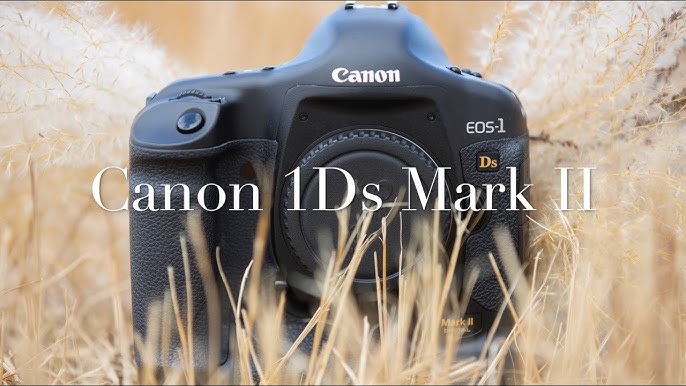Là phân khúc cao cấp, nhưng Canon 1Ds Mark 2 đã được cho ra mắt rất lâu, từ 2004
