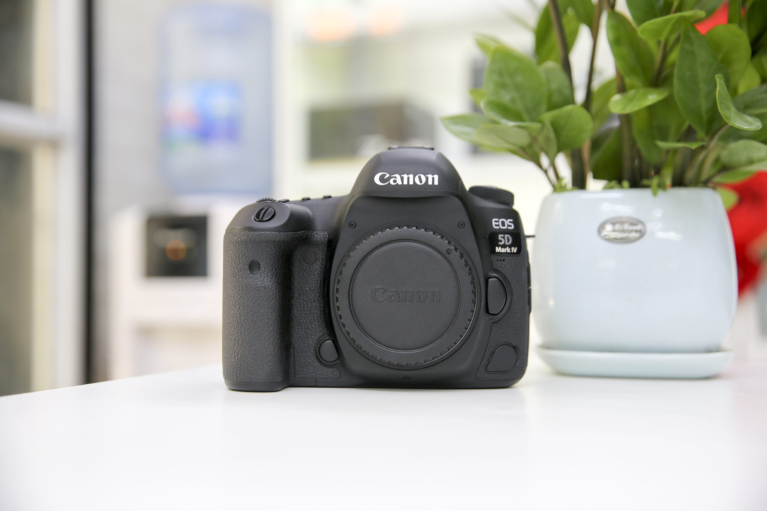 Canon 5D Mark IV (body)