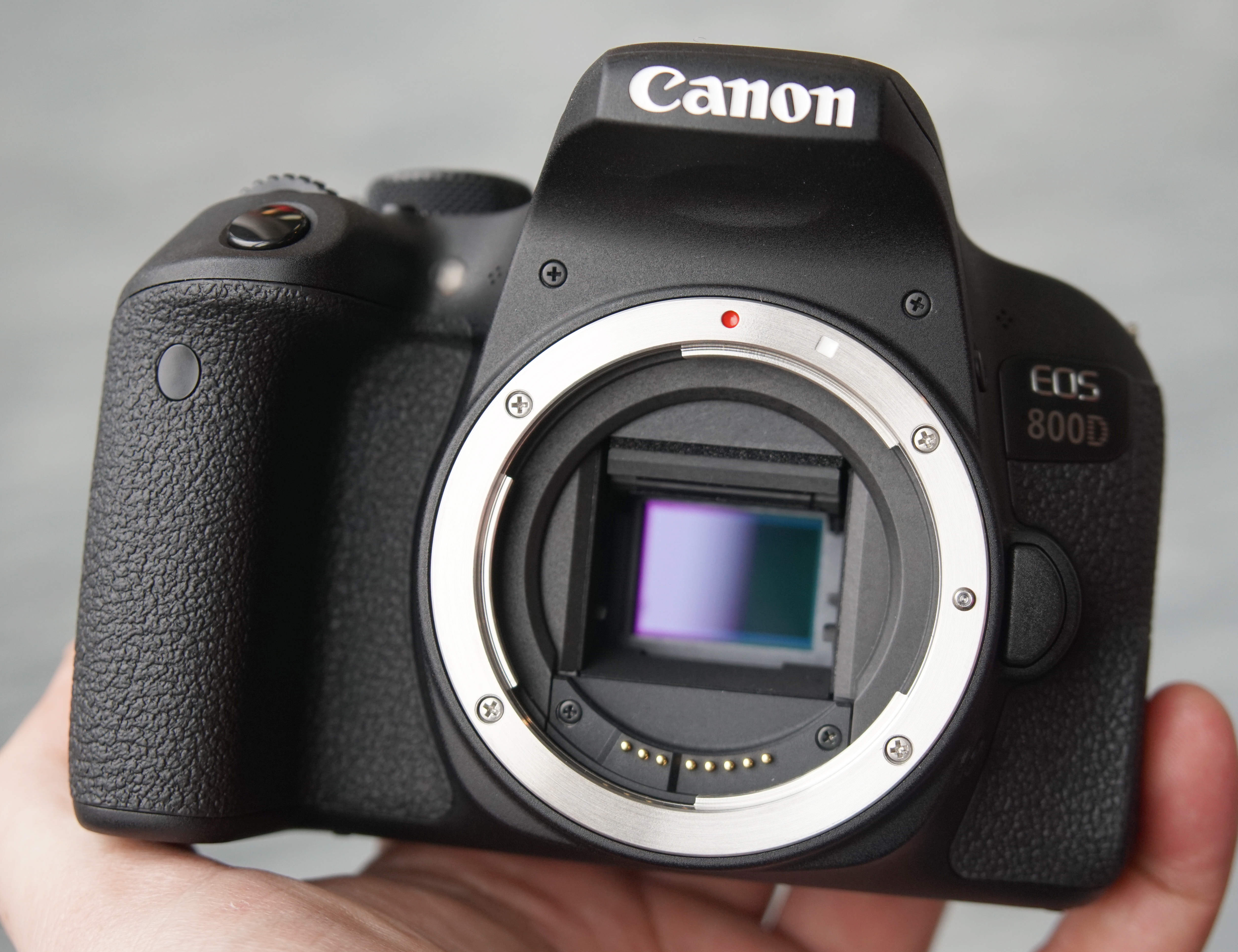 Ra đời từ 2017, đến nay Canon 800D vẫn là lựa chọn phổ biến trong phân khúc DSLR