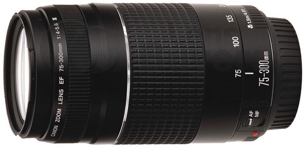 Canon EF 75-300mm cũ là một giải pháp tiết kiệm chi phí tối ưu