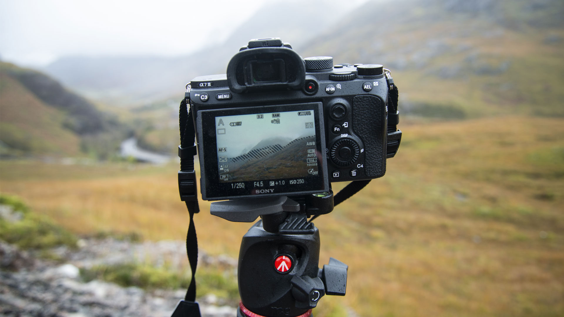 Sony A7 Mark III cũ vẫn cho chất lượng ảnh chi tiết, độ sắc nét cao.
