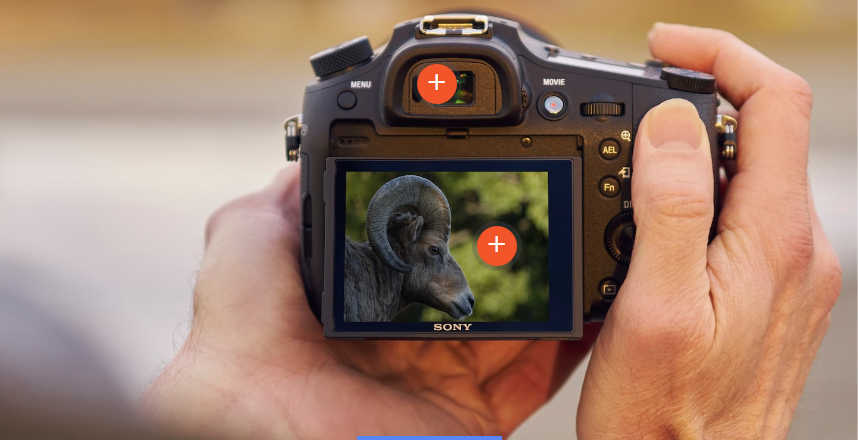 Tính năng của Sony RX10 Mark III giúp nâng cao trải nghiệm sử dụng máy ảnh.